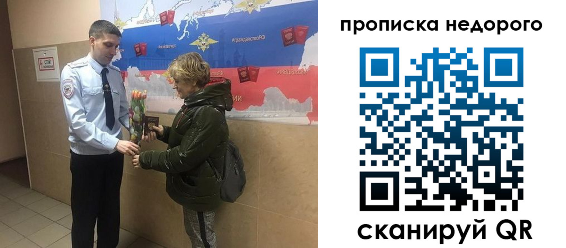 прописка для школы в Сертолово